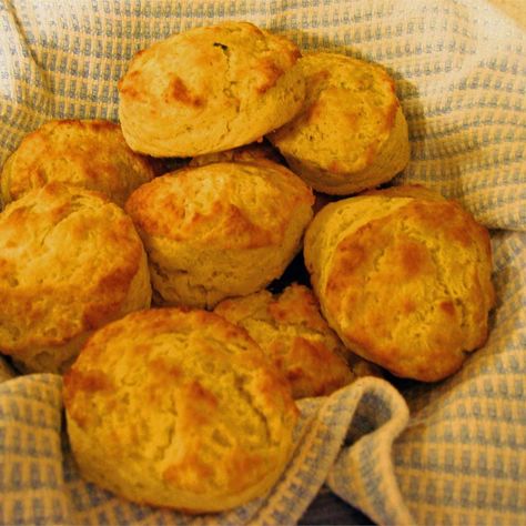 Tender Potato Biscuits Potato Biscuits Recipe, Easy Drop Biscuits, Potato Biscuits, Homemade Biscuits Recipe, Sweet Potato Biscuits, Comfort Casseroles, Creamy Potato Salad, Pumpkin Scones, Drop Biscuits