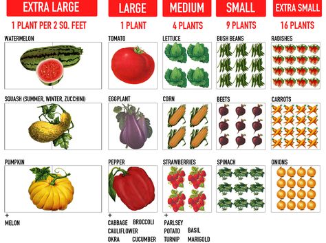 Square Foot Gardening Layout, Plantarea Legumelor, Vertical Vegetable Gardens, Flower Garden Plans, Raised Vegetable Gardens, Landscape Gardening, Vertical Vegetable Garden, Garden Layout Vegetable, Vegetable Garden Planning