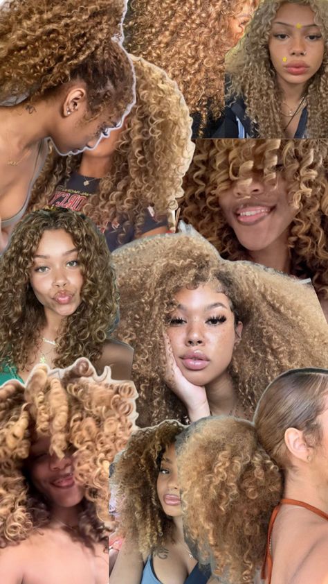 Blonde curly hair, curly hair, blonde curly hair black women, honey blonde hair Black Women Honey Blonde Hair, Blonde Curly Hair Black Women, Blonde Hair Dyed Black, Hair Blonde Curly, Curly Hair Black Women, Curly Hair Blonde, Blonde Hair Black Women, The Wet Look, Blonde Dye