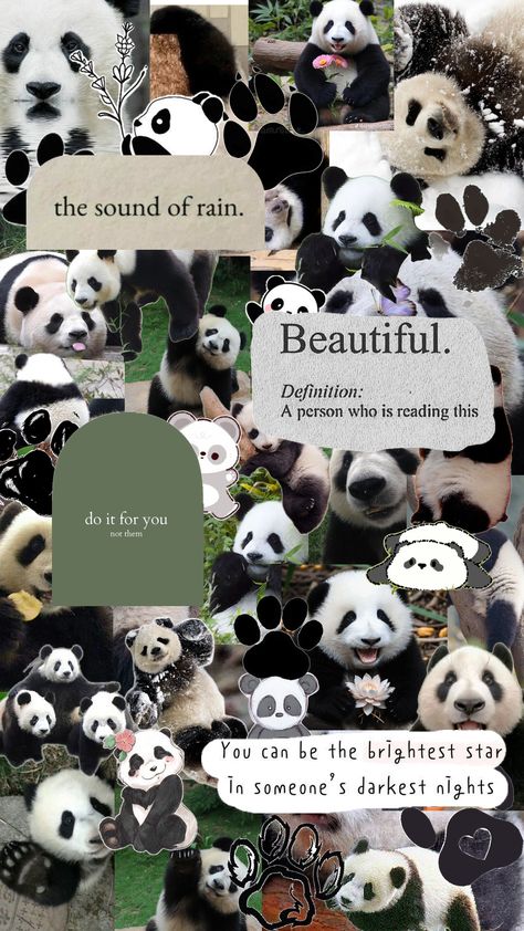 Adorable Panda Bear Collage :3 Panda Collage, Panda Bears Wallpaper, Vintage Paper Printable, Iphone Wallpaper Cat, Cute Panda Wallpaper, Sound Of Rain, Bear Wallpaper, Cute Backgrounds, Cute Panda