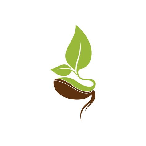 logo icons,plant,icon,vector,seed,logo,leaf,organic,symbol,nature,design,green,natural,grow,growth,agriculture,fresh,food,sign,ecology,farm,illustration,element,eco,concept,sprout,garden,simple,environment,graphic,flower,isolated,health,creative,bio,tree,life,template,flat,growing,gardening,flora,soil,company,botany,business,vegan,line,floral,bean,product Sprout Logo, Seed Logo, Plant Logos, Agriculture Logo, Logo Illustration Design, Plant Icon, Eco Logo, House Logo Design, Organic Logo