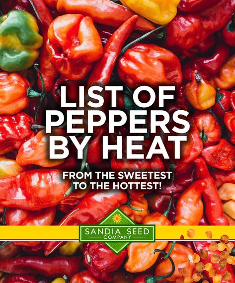 List of Peppers by Heat Hot Pepper Chart, Hot Peppers Recipes, Growing Jalapenos, Types Of Chili Peppers, Food Questions, Datil Pepper, Hot Peppers Plants, Growing Hot Pepper, Hot Pepper Recipes