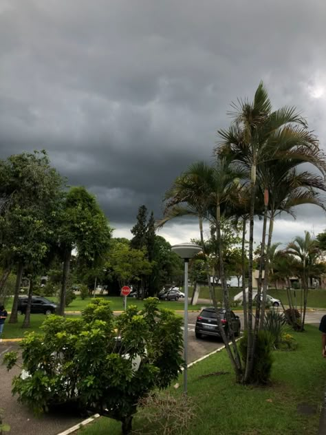 Stormy Day Aesthetic, Suburban Lifestyle, Florida Gothic, Obx Life, Bloxburg Town, 3 Best Friends, Room Dark, Corpus Christi Texas, Self Made Millionaire