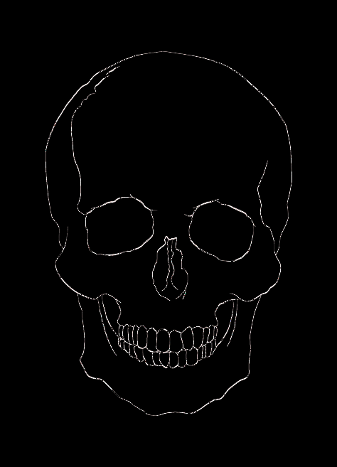 Tiny Skull Tattoos, Skull And Rose Drawing, Human Skull Drawing, Human Skull Anatomy, Skull Outline, Easy Skull Drawings, Skull Template, Key Drawings, Simple Skull