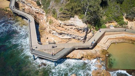 Terrigal Boardwalk | Arup Boardwalk Design, Liquid Architecture, Waterfront Design, Green Infrastructure, Social Health, Architecture Thesis, Marine Landscape, Architecture Foundation, Beach Path