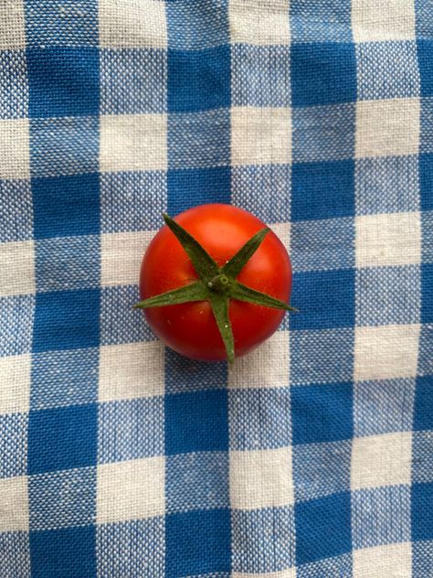 Tomato Still Life Photography, Tomatoe Aesthetic, Tomato Reference, Food Drawing Reference, Tomatoes Aesthetic, Tomato Photography, Tomato Aesthetic, Aesthetic Tomato, Tomato Wallpaper