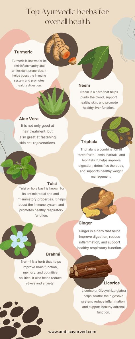 Ayurvedic Plants, Immunity Support, Herbs And Plants, Ayurvedic Healing, Ayurvedic Remedies, Natural Cough Remedies, Cold Home Remedies, Herbs For Health, Healthy Liver