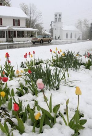 Spring in New England Spring In New England, New England Spring Aesthetic, New England Spring, England Spring, New England House, England Town, Maine New England, Spring Breeze, New England Homes