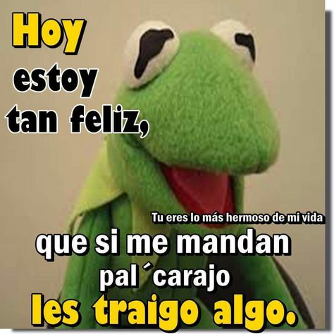 Hoy estoy feliz... Memes Xd, Funny Bunnies, Grinch, Frozen, Humor, Memes, Funny, Quick Saves, Humour