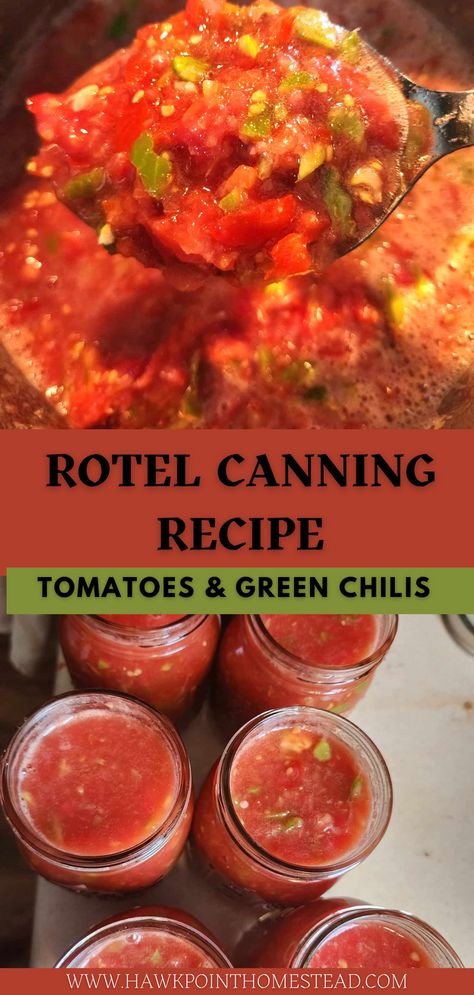 Homemade Rotel made with tomatoes and green chilies is a great and easy tomato canning recipe. Rotel is a great pantry staple for spicing up Mexican recipes. It is great to be able to make your own tomatoes and green chilies to suit your taste and to preserve them for use all winter long. Rotel is so convenient for adding flavor to dishes like tacos, casseroles, soups, or making salsas or dips. You can make your Rotel mild or spicy, depending on your personal preference. Mexican Canning Recipes, Canning Recipe For Rotel Tomatoes, Home Canned Rotel, Diy Rotel Canning, Homemade Rotel Canning Recipe, Rotel Canned Tomatoes, Homemade Rotel Recipes, Canned Rotel Recipe, Rotel For Canning