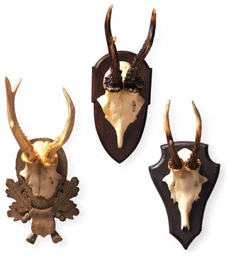 Alsace Hunt Club Reproduction Antler Wall Mount Trophy- Set of 3 traditional originals and limited editions Trophy Display, Ceramic Projects, Antler Wall, Cabin Furniture, Hunt Club, Curiosity Shop, Deer Skulls, Sculptures For Sale, Rustic Lodge