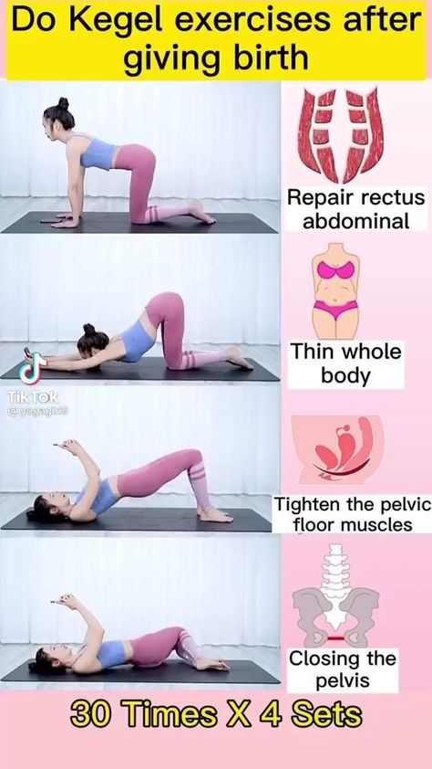 Pin by leistallion on A tik tok [Video] | Kegel exercise, Bodyweight workout beginner, Postnatal workout Post Pregnancy Workout, Tik Tok Video, Latihan Kardio, Baby Workout, Lost 50 Pounds, Kegel Exercise, Postnatal Workout, Full Body Gym Workout, Easy Yoga Workouts