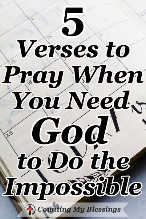 Prayer Board Scriptures, Prayers For Wisdom, Verses To Pray, Bible Says, A Course In Miracles, Nothing Is Impossible, Ayat Alkitab, Bible Study Verses, Good Prayers