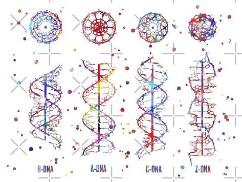 Dna Drawing, Chemistry Tattoo, Dna Structure, Dna Art, Dna Tattoo, Dna Helix, Dna Molecule, Human Dna, Biology Art