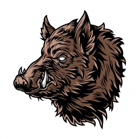 Javali colorido vintage com presas | Free Vector #Freepik #freevector #vintage #animal #retro #floresta Boar Illustration, Boar Tattoo, Boar Hunting, Wild Pig, Systems Art, Wild Hog, Animal Vector, Boars Head, Wild Boar