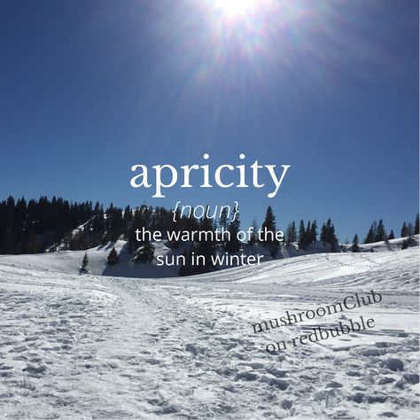 apricity in white in the middle with the word noun and “the warmth of the sun in winter” below. the background is a photo of a winter landscape with snow glistening in the sunshine and trees in the back. Winter Sunshine, Sun Selfie Captions, Snow Words, Winter Sun Aesthetic, Winter Sun Quotes, Winter Aesthetic Quotes, Quotes About Snow, Winter Quotes Aesthetic, Snow Quotes