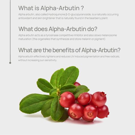 Alpha arbutin is a skin-lightening agent derived from the bearberry plant. It works by inhibiting the enzyme tyrosinase, which plays a key role in the production of melanin, the pigment responsible for skin color. As a result, alpha arbutin can help reduce hyperpigmentation and even out skin tone. It’s often used in skincare products like serums, creams, and lotions for its ability to fade dark spots and improve the overall appearance of the skin. ✨ #missface #explorenaturalscience #skincare... Bearberry Plant, Reduce Hyperpigmentation, Skin Lightening, Alpha Arbutin, Fade Dark Spots, Even Out Skin Tone, Beauty Recipe, Science And Nature, Skin Color