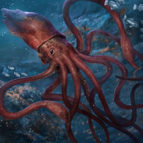 Giant Squid by Herckeim on DeviantArt Giant Squid Aesthetic, Giant Squid Art, Squid Aesthetic, Humboldt Squid, Squid Drawing, Colossal Squid, Giant Pacific Octopus, Playing In The Sand, Giant Squid