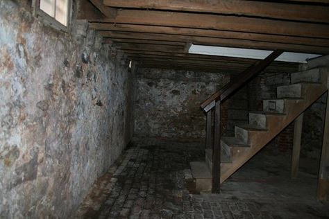 imagine having to film in this basement #spooky #thegirlfromthebasement Dark Basement, Old Basement, Gif Terror, Basement Plans, State School, Unfinished Basement, Abandoned Buildings, Basement Remodeling, Finishing Basement