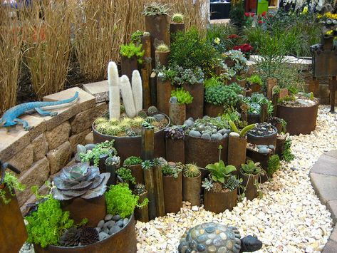 Pipe  Succulent Planters Succulent Planters, Deco Nature, Succulent Gardening, Desert Garden, Garden Containers, Garden Show, Succulents Garden, Succulent Planter, Rock Garden