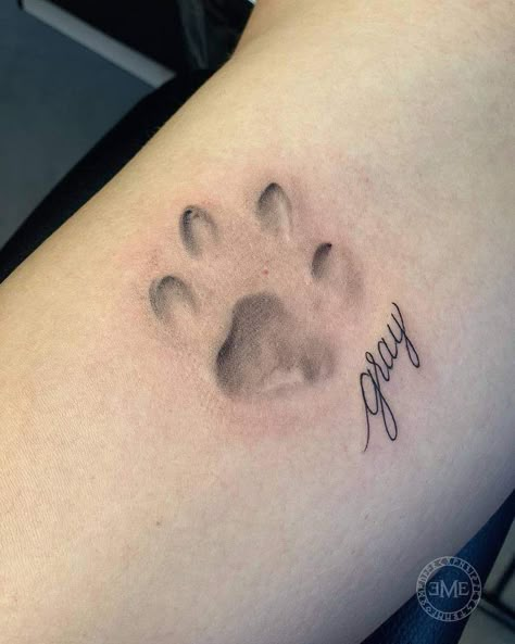 Paw Print Tattoo Ideas, Cat Paw Print Tattoo, Cat Paw Tattoos, Tatoo Dog, Halo Tattoo, Big Cat Tattoo, Pawprint Tattoo, Dog Paw Tattoo, Paw Tattoo