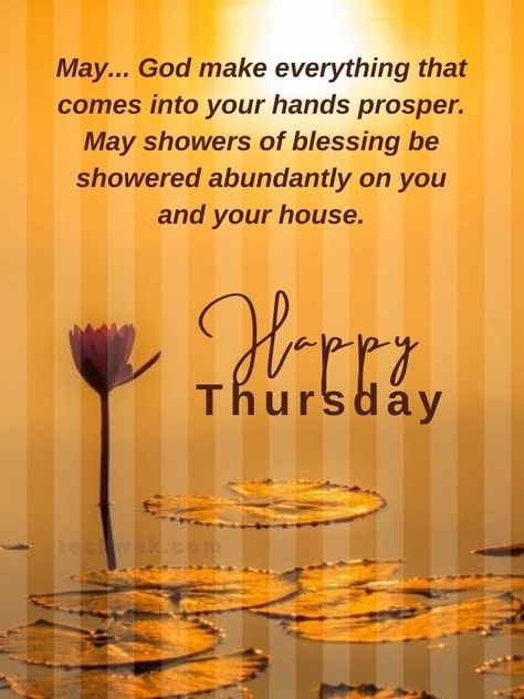 Morning Thursday Images, Thursday Wishes, Thursday Morning Quotes, Thursday Prayer, Happy Thursday Morning, Good Morning Thursday Images, Week Blessings, Happy Thursday Images, Thursday Images