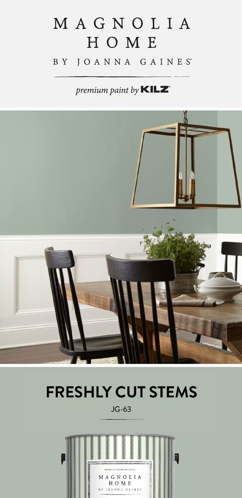 The pastel green color of Freshly Cut Stems, from the Magnolia Home by Joanna Gaines® Paint collection, is a gorgeous addition to this traditional farmhouse dining room. A gold light fixture, rustic wood table, and neutral accent colors help to add a modern twist to this space. Click below for more color details. Farmhouse Dining Lighting, Joanna Gaines Light Fixtures, Farmhouse Dining Room Lighting, Dining Light Fixtures, Dining Room Paint Colors, Farmhouse Dining Rooms Decor, Green Dining Room, Dining Room Paint, Farmhouse Paint Colors