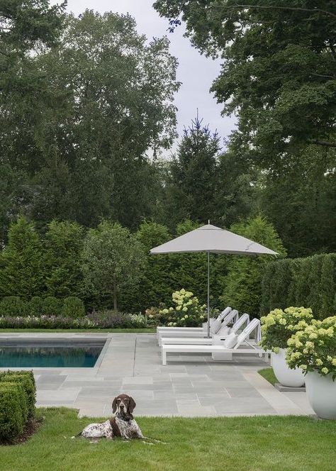 Slate Pavers, Pavers Design, Pool Pavers, Taman Air, Pools Backyard Inground, House Pool, Pool Landscape Design, Pool Lounger, Zen Space