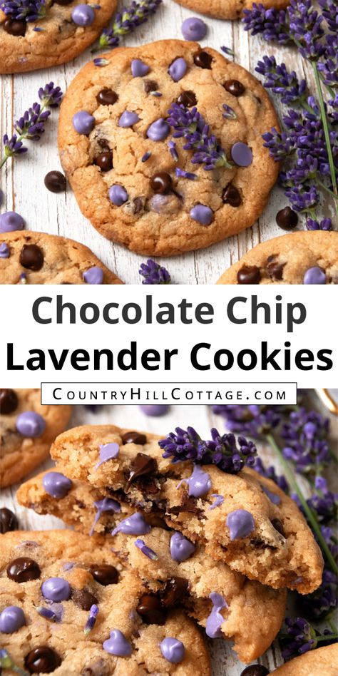 Get ready to fall in love with the best homemade lavender chocolate chip cookies! Chewy and soft in the center, crispy around the edges, and packed full of lavender and chocolate chips, these cookies will have any lavender lover swooning. Chocolate and lavender are a fantastic combination, and each bite is loaded with chocolate and lavender goodness. The bakery style recipe is super easy to make and you probably have the ingredients already stashed in your pantry. | CountryHillCottage.com Honey Lavender Cookies Recipe, Iskra Yellowlegs, Lavender Chocolate Chip Cookies, Earl Grey Lavender Cookies, Gluten Free Lavender Recipes, Lavender Macarons Recipe, Things To Make With Lavender, Purple Desserts Ideas, Lavender Recipes Baking