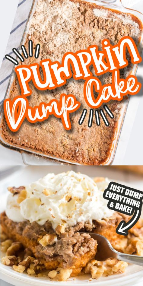 Easy Pumpkin Dump Cake, Pumpkin Dump Cake Recipe, Pumpkin Dump, Pumpkin Pie Cake, Pumpkin Crunch Cake, Savory Pumpkin, Pumpkin Crunch, Dump Cake Pumpkin, Pumpkin Pie Mix