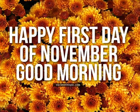 Happy New Month November Blessings, Good Morning November 1st Quotes Inspiration, 1st November Images, Month Of November Quotes, First Day Of November Quotes, Happy New Month November Quotes, Good Morning November 1st, First Of November Quotes, 1 November Quotes