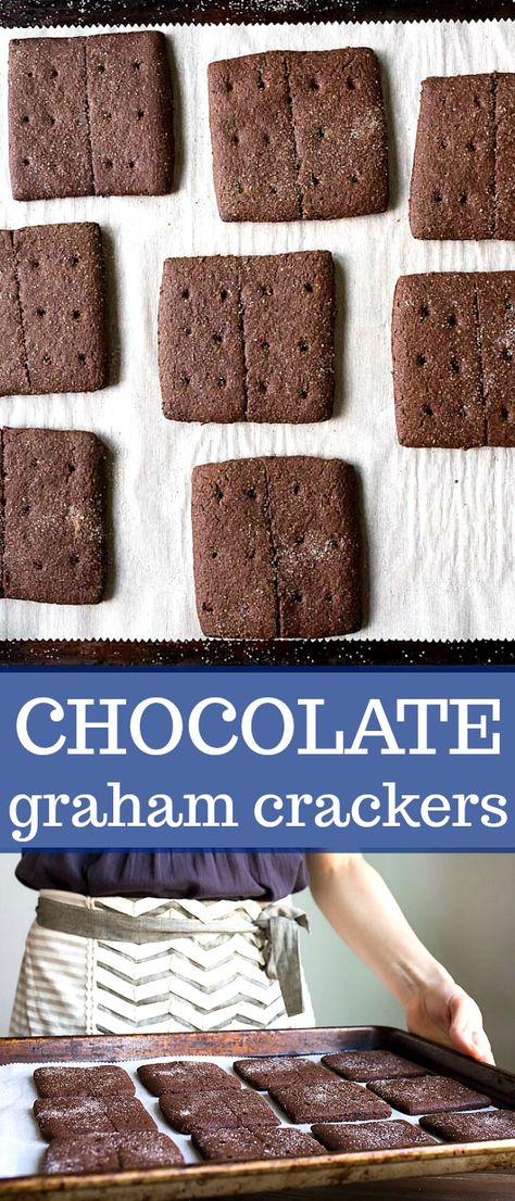 Healthy Graham Crackers, Graham Crackers Recipe, Afterschool Snacks, Graham Cracker Recipes, Homemade Graham Cracker Crust, Cookie Recipes From Scratch, Small Batch Baking, Crackers Recipe, Homemade Graham Crackers