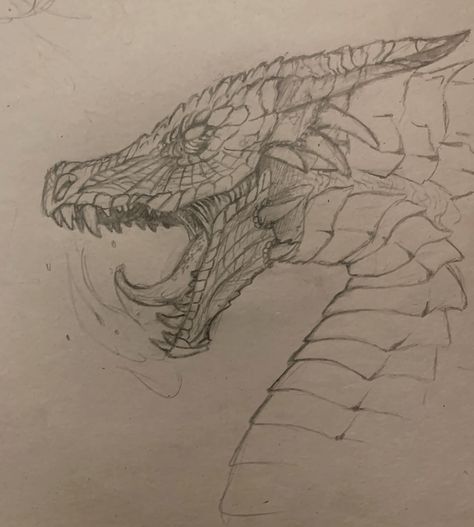 Late night dragon sketch 🐉 #sketch #drawing #drawingoftheday #dragon Mythical Creatures Sketches, Dragon Head Side View, Dragon Side Profile, Dragon Side View, Dragon Drawing Reference, Dragon Art Drawing, Mythical Drawings, Dragon Line Drawing, Dragon Drawing Sketches