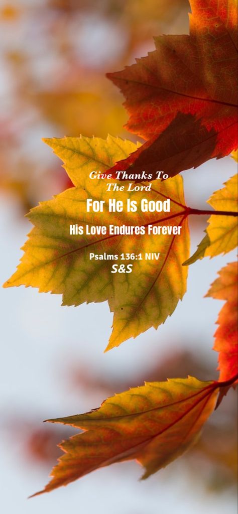 Psalms 136:1 NIV Thanksgiving Scriptures, Thanksgiving Scripture, Psalm 136, Give Thanks, Psalms, Thanksgiving, Trees, Wallpapers, Good Things