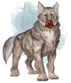 Direwolf Drawing, Stat Block, Wolf Artwork, D D Monsters, Dire Wolf, Forgotten Realms, Dnd Monsters, Wolf Drawing, Dnd Art