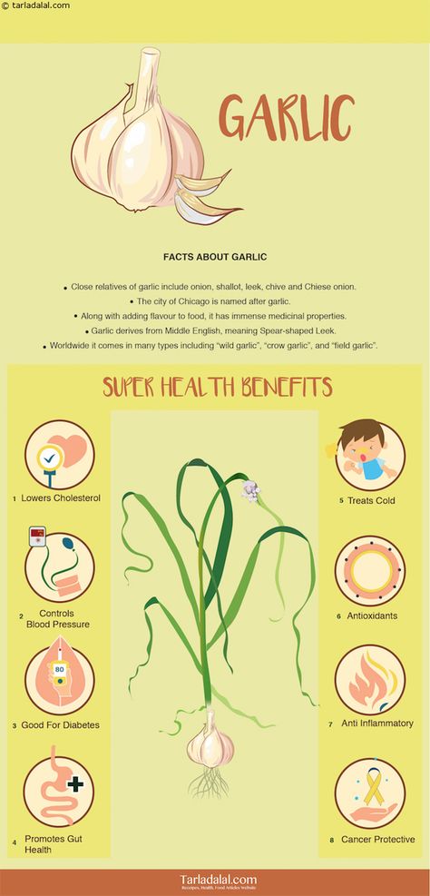 8-Health-Benefits-of-Garlic Whey Protein Recipes Shakes, Health Benefits Of Garlic, Garlic Health, Benefits Of Garlic, Garlic Health Benefits, Garlic Benefits, Blood Pressure Control, Natural Antibiotics, Cold Home Remedies