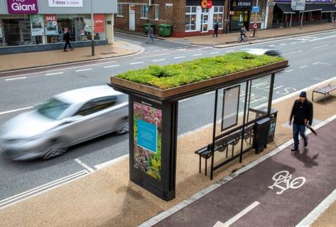 Leicester City Council installs 30 ‘living’ roofs on bus stops | Roofing Cladding & Insulation Magazine (RCI) Green Roof System, Bus Shelters, Urban Heat Island, Bus Stops, Living Roofs, New Bus, Garden Architecture, Pollinator Garden, Roofing Systems