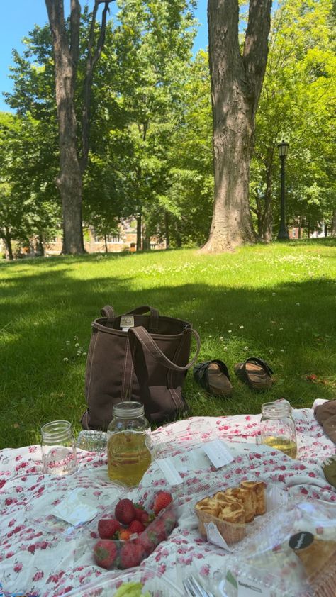 picnic
hippie
grass
park
strawberries
sandals
blanket Sunny Picnic Aesthetic, Nature, Picnic Vision Board, Picnic At Park Aesthetic, Last Days Of Summer Aesthetic, Spring Mood Aesthetic, Park Day Aesthetic, Solo Summer Aesthetic, My Summer Aesthetic