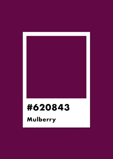 Mulberry Wall Paint, Boysen Berry Color, Mulberry Colour Palette, Mulberry Paint Color, Mulberry Color Palette, Mulberry Color Aesthetic, Mulberry Aesthetic Color, Mulberry Bedding, Mulberry Aesthetic