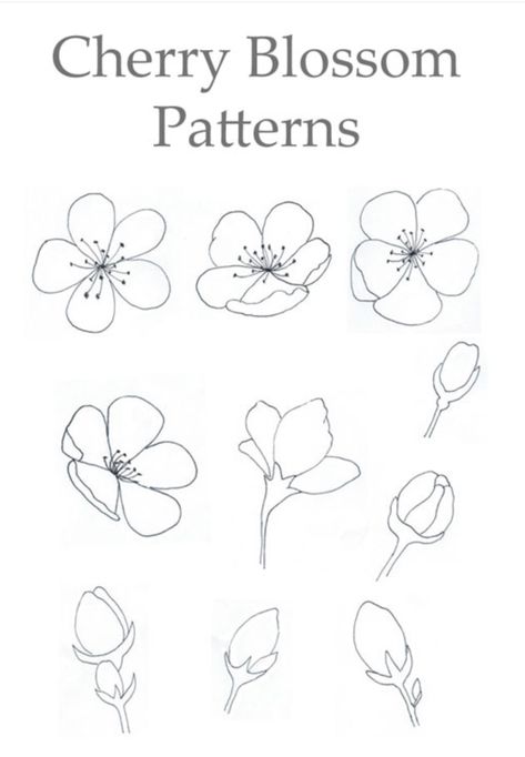 Five Petal Flower Drawing, How To Draw Japanese Flowers, How To Draw Sakura Flower, How To Draw Cherry Blossoms, Sakura Flower Drawing, Cherry Blossom Cartoon, Cherry Blossom Line Art, Cherry Blossom Outline, Sakura Drawing