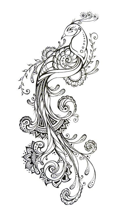 Like the pose and this as inkwork... add color Tattoo Feather, Vogel Tattoo, Peacock Feather Tattoo, Peacock Tattoo, Kunst Tattoos, Phoenix Tattoo Design, Tattoo Zeichnungen, Peacock Art, White Drawing