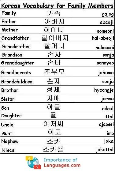 Korean Words for Family Learn Basic Korean Language, Family Korean, Taal Posters, Language Poster, अंग्रेजी व्याकरण, Learning Korean Grammar, Korean Letters, Learn Basic Korean, Bahasa China