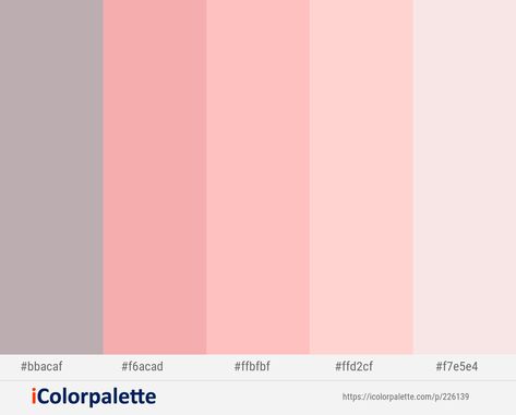 Peach Pallet, Gray Pallet, Soft Pink Color Palette, Pallet Color, Pink Swan, Light Pink Hair, Light Peach Color, Pastel Color Schemes, Peach Colour