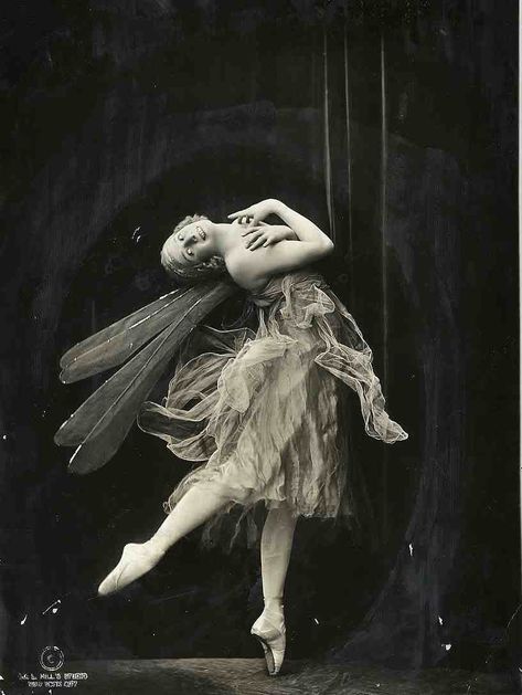 Anna Pavlova as ‘Dragonfly’  1914 Dancer In The Dark, Martha Graham, Belly Dancing Classes, Ballet Russe, Anna Pavlova, Vintage Ballerina, Ballerina Girl, Pavlova, Belle Epoque