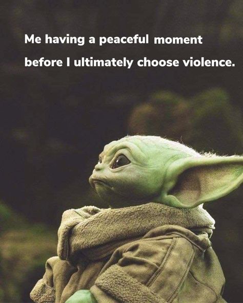 Crude Humor, Yoda Images, Yoda Meme, Yoda Funny, Funniest Memes, Funny As Hell, Work Memes, Have A Laugh, Twisted Humor