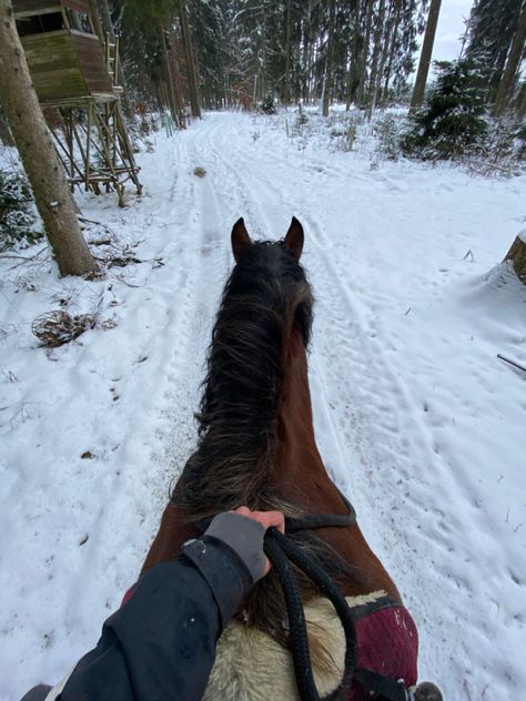 horse, horses, noriker horse, noriker, bare back, riding, eventing, trail ride, trail riding, riding, winter, January, 2022 dream, cold outdoor, western girl, country style, iPhone 11 camera, riding boot, brown horse, bay horse, cute horse, big horse, kaltblüter, Pferd, Pferde, Ausritt, Winter Ausritt, Schnee Ausritt, Schnee, Januar, winter wonderland Noriker Horse, Horse Girl Aesthetic, Dr Aesthetic, Horsey Life, Horse Riding Aesthetic, Winter Horse, Riding A Horse, Equestrian Aesthetic, Cute Horse Pictures