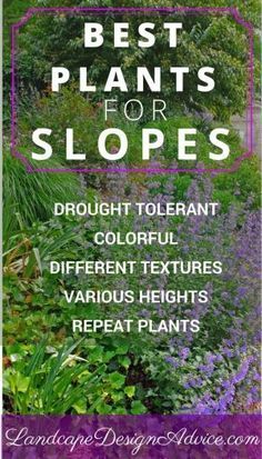 Plants For Slopes, Pallet Gardens, Landscaping A Slope, Landscaping On A Hill, Sloped Yard, Hillside Garden, Sloped Backyard, Hillside Landscaping, Sloped Garden