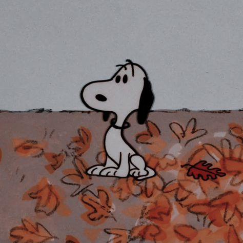 Snoopy, Halloween, Snoopy Pfp, Wall