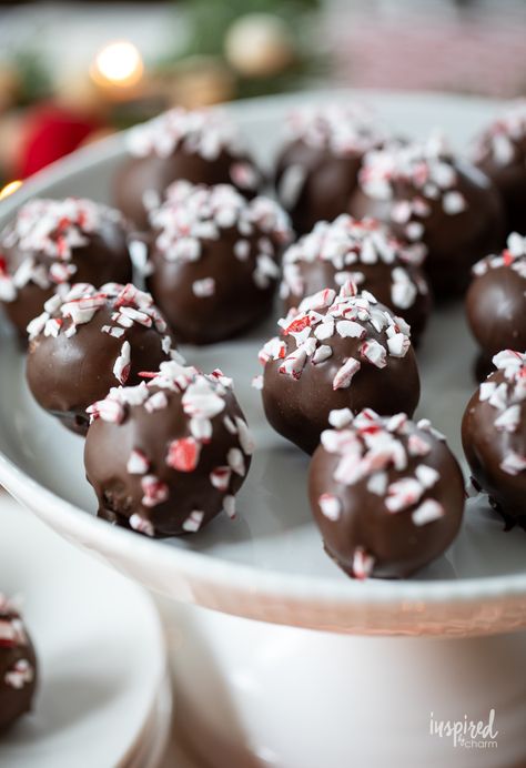 Peppermint Oreo Truffles Peppermint Oreo Truffles, Fudge Truffles, Peppermint Truffles, Oreo Truffles Recipe, Truffles Chocolate, Peppermint Recipes, Homemade Truffles, Peppermint Brownies, Recipes Holiday