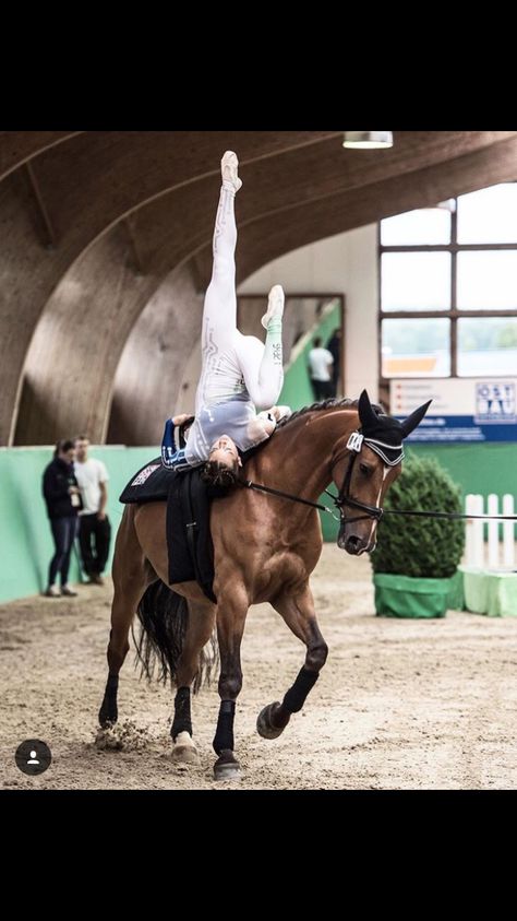 Equestrian Vaulting Moves, Vaulting Horses, Equestrian Vaulting, Vaulting Equestrian, Horse Vaulting, Trick Riding, Beautiful Horse Pictures, Baby Bike, Horse Videos